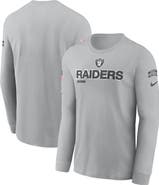 Nike Men's Nike Gray Las Vegas Raiders 2024 Salute To Service Long Sleeve T-Shirt
