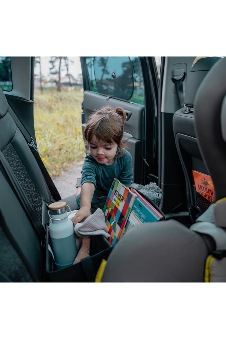 Car Organizer Bag - Eco-friendly, Alternate, color, Black