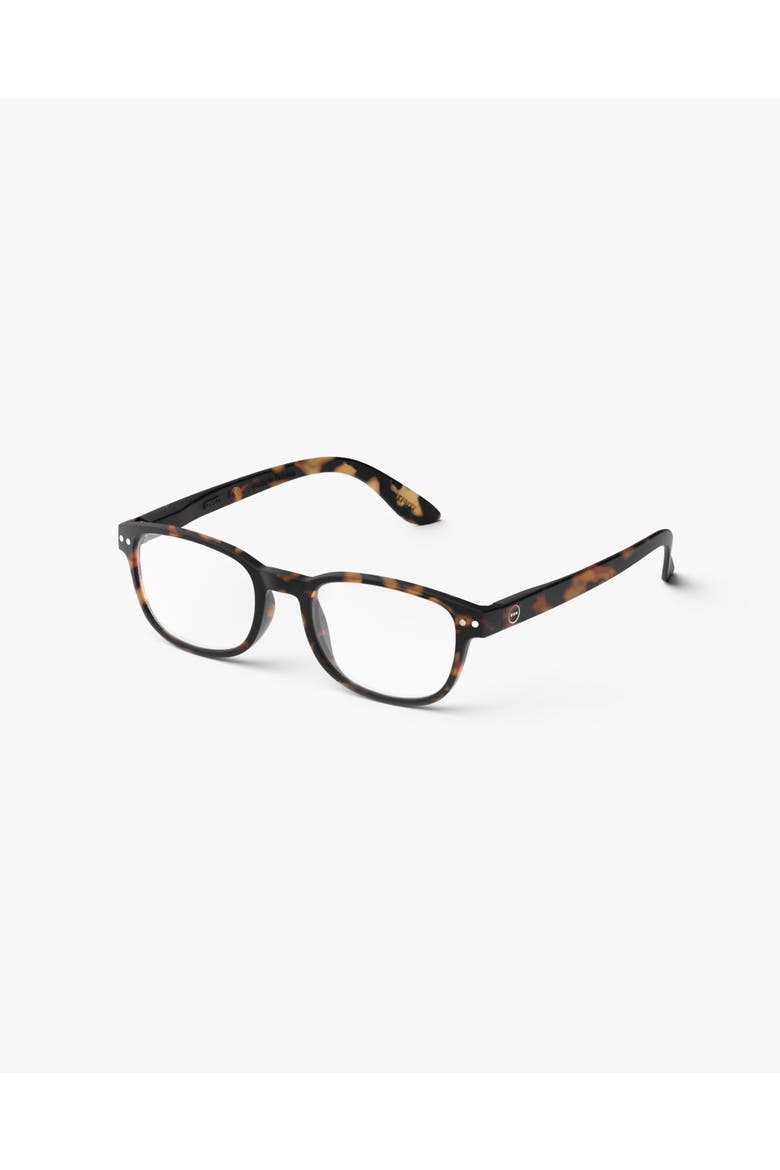 #B Tortoise, Alternate, color, Tortoise