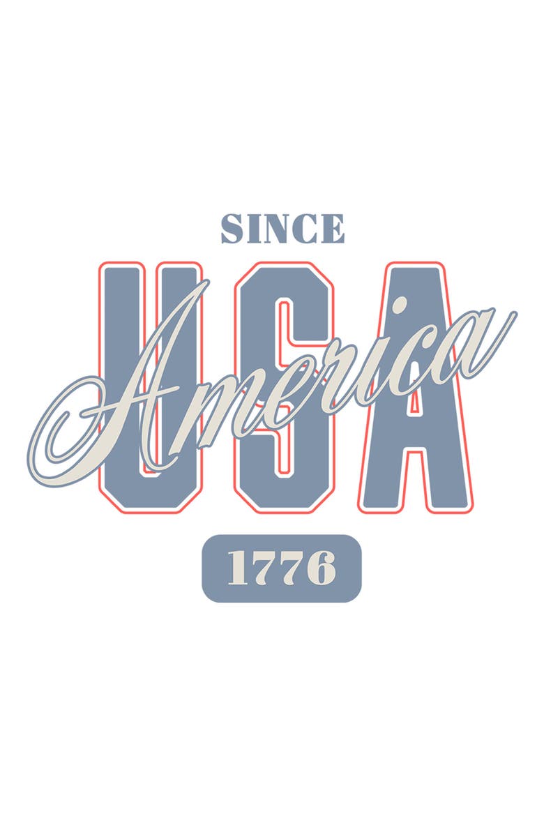 Men's Lost Gods Since 1776 America USA  Graphic T-Shirt, Alternate, color, White