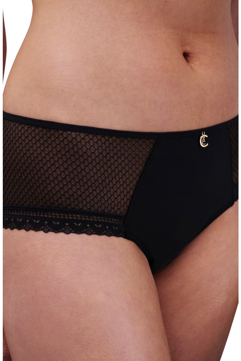 Lace Trim Tulle & Microfiber Briefs, Alternate, color, BLACK