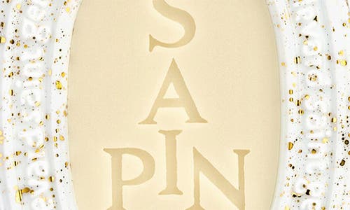 Diptyque Sapin (pine Tree) Wax Oval In Transparent