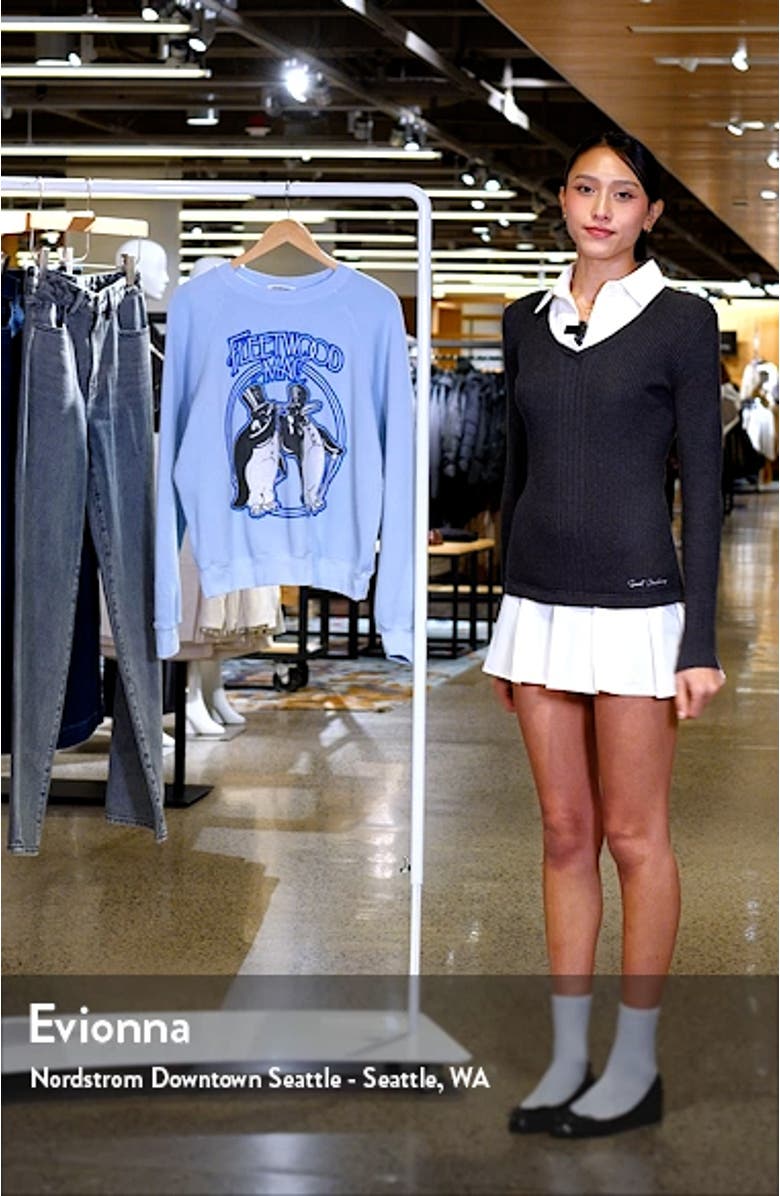 Fleetwood Mac Penguins Graphic Sweatshirt, sales video thumbnail