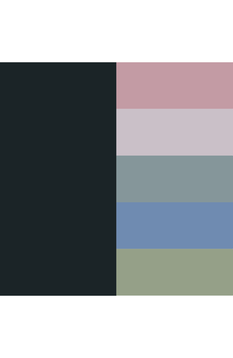 Port De Bras Rainbow Legging, Alternate, color, Black-Pastel