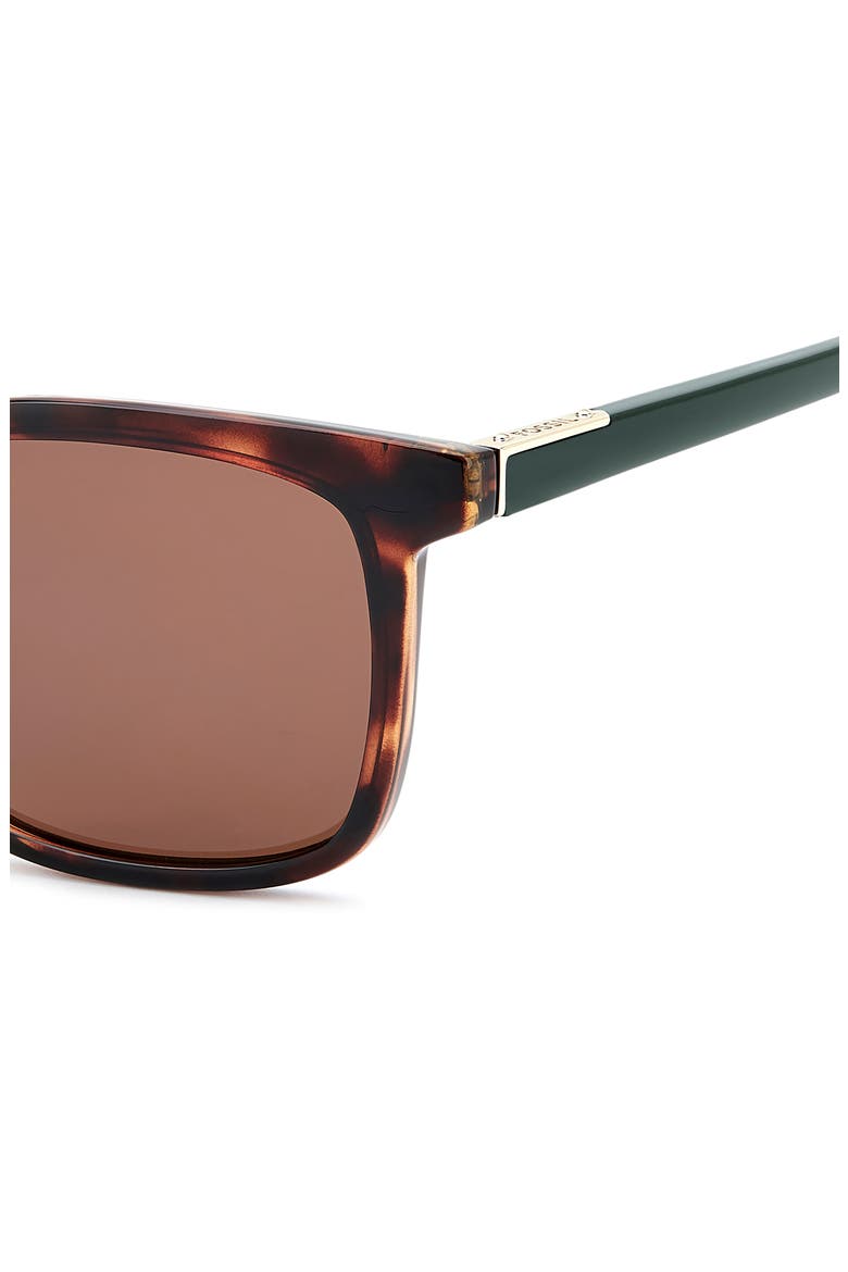 53mm Panthos Square Sunglasses, Alternate, color, HAVANA/ BROWN