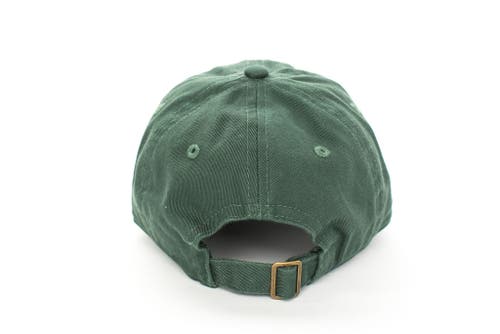 Rey To Z Pops Hat In Green