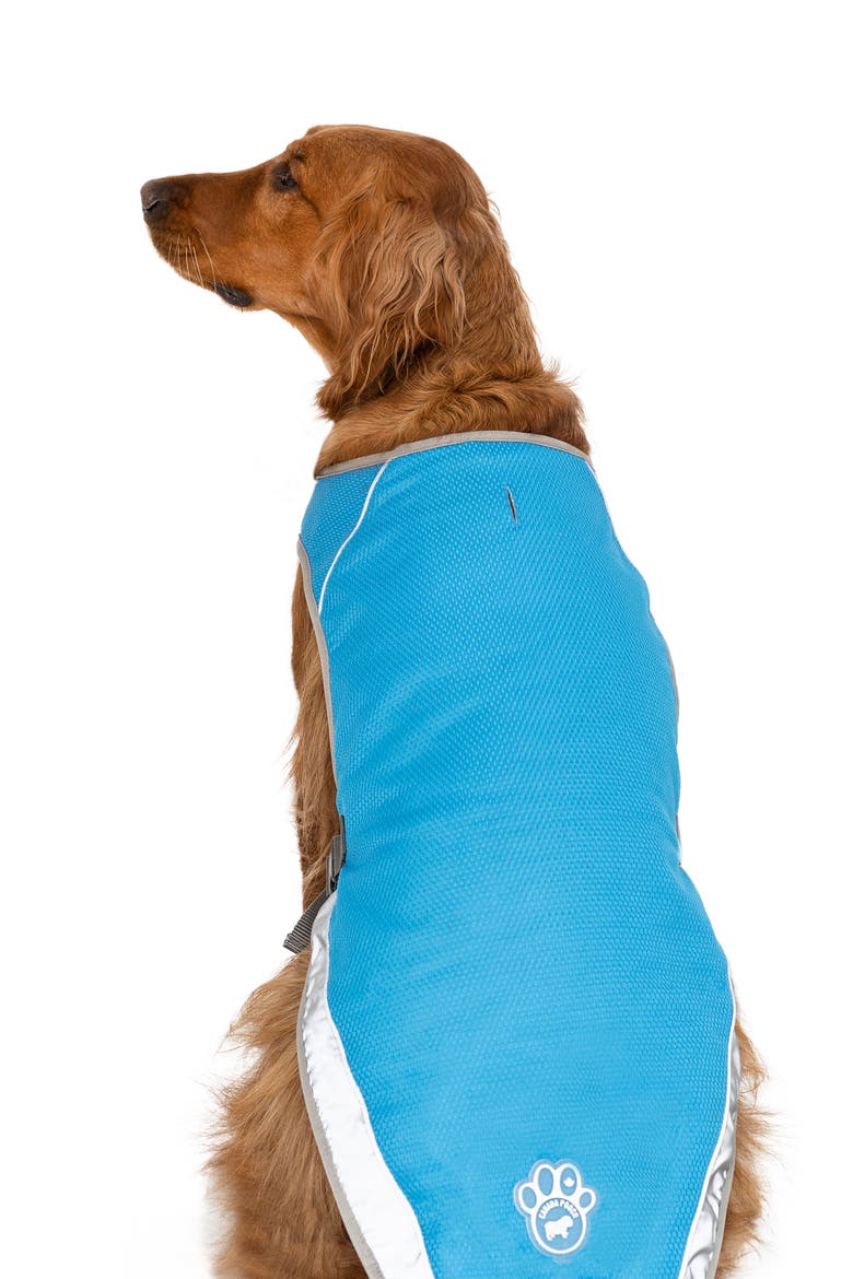 Chill Seeker Cooling Pet Vest, Alternate, color, BLUE
