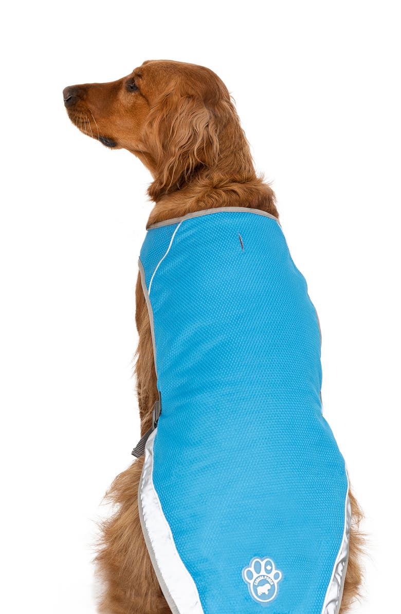 Canada Pooch Chill Seeker Cooling Pet Vest, Alternate, color, 