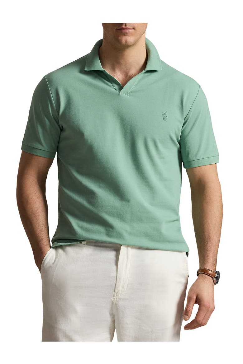 Big & Tall Johnny Collar Mesh Polo Shirt, Main, color, FADED MINT