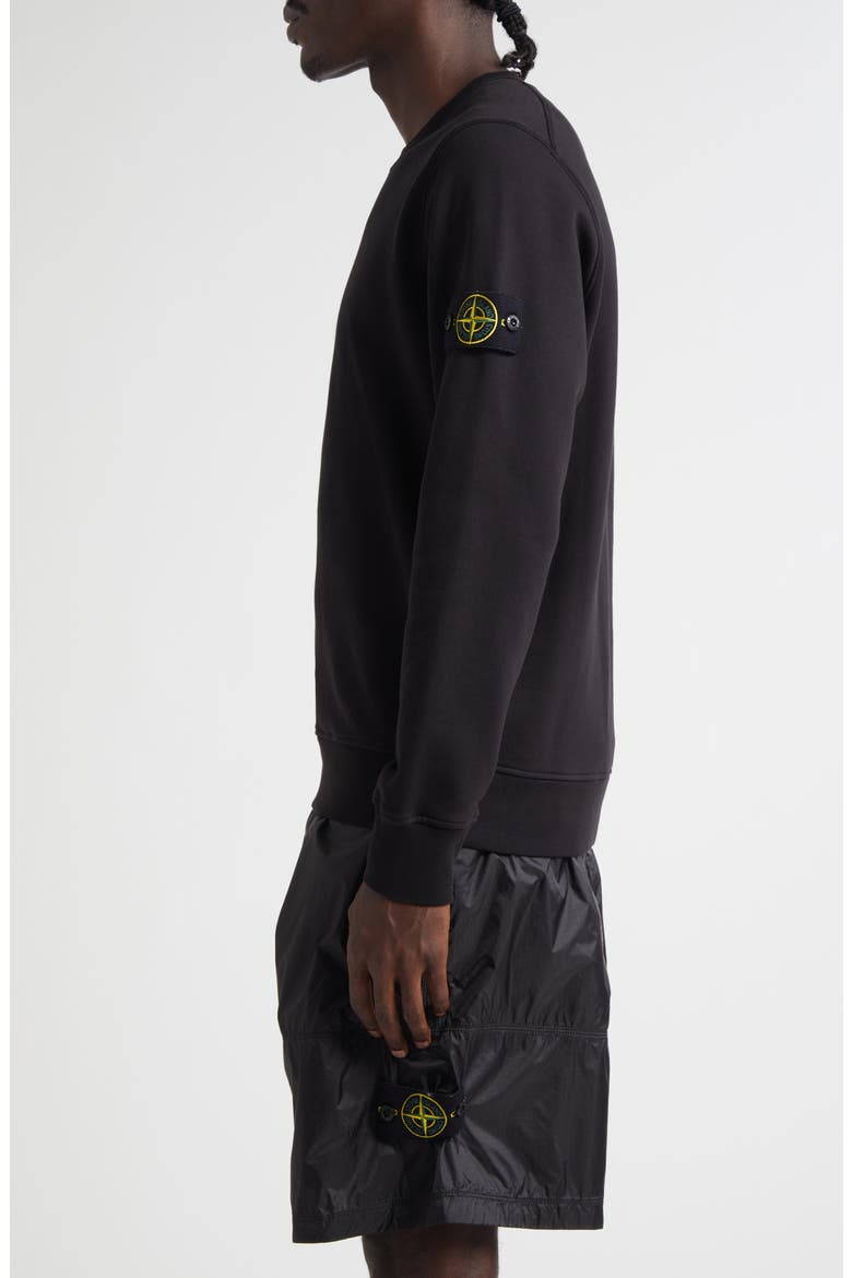 Compass Logo Patch Cotton Crewneck Sweatshirt, Alternate, color, V0029 BLACK