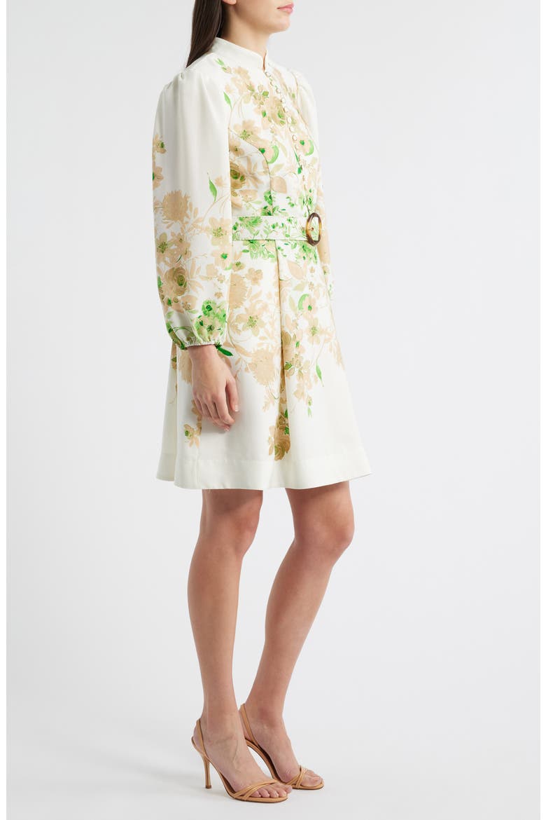 Border Print Belted Long Sleeve Dress, Alternate, color, IVORY FERN