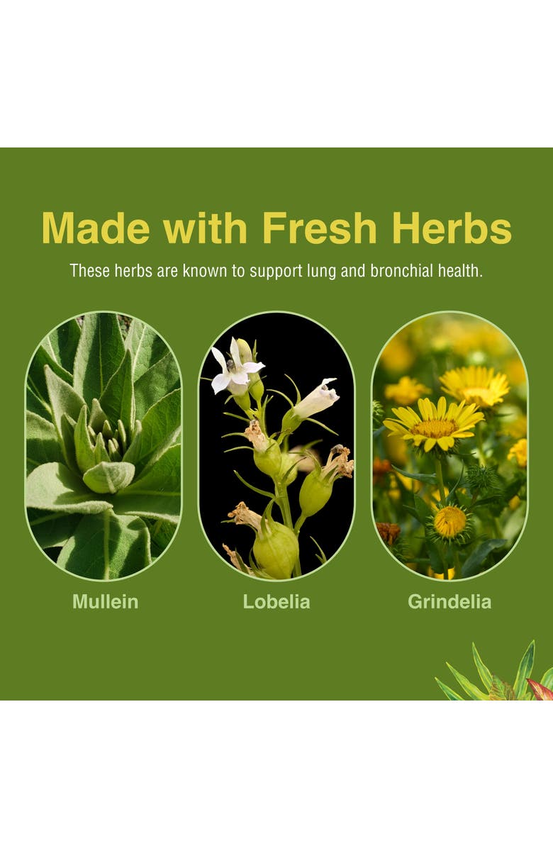 Herbs Etc. Lung Tonic Herbal Lung & Bronchial Support Softgels, 60 Count, Alternate, color, NO COLOR