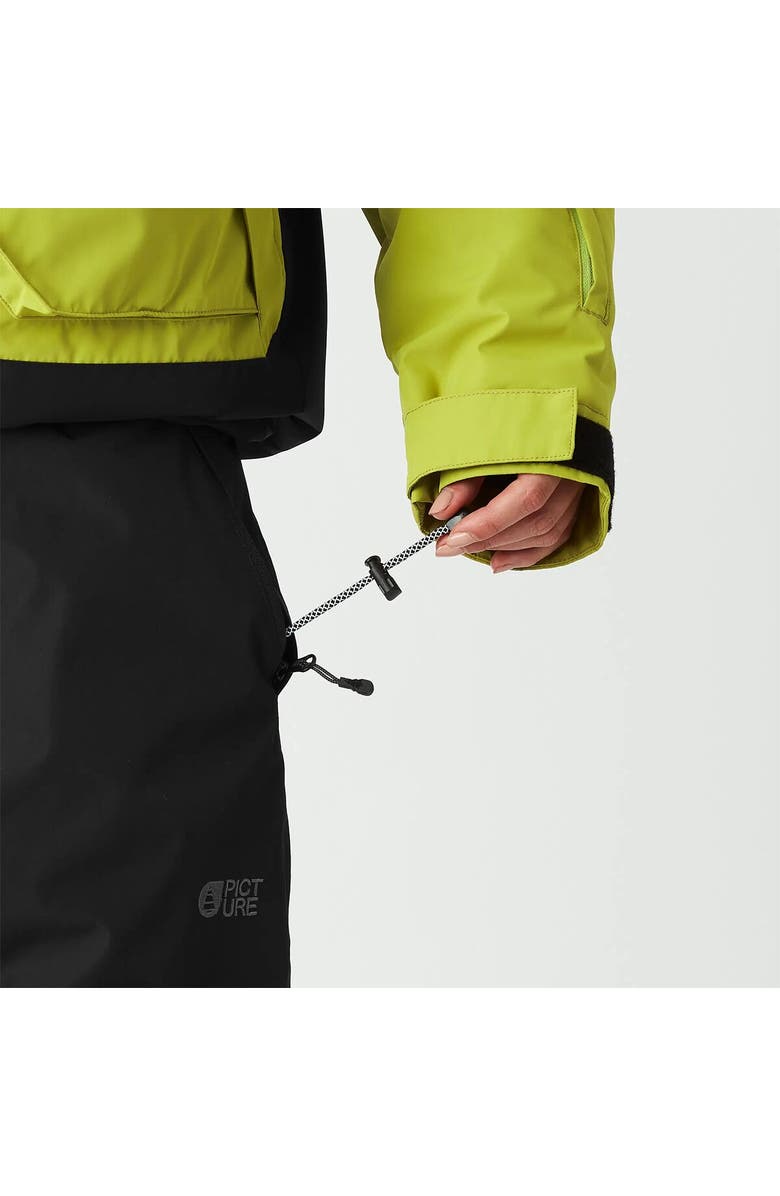 Picture Organic Akna Pant - Women's, Alternate, color, 