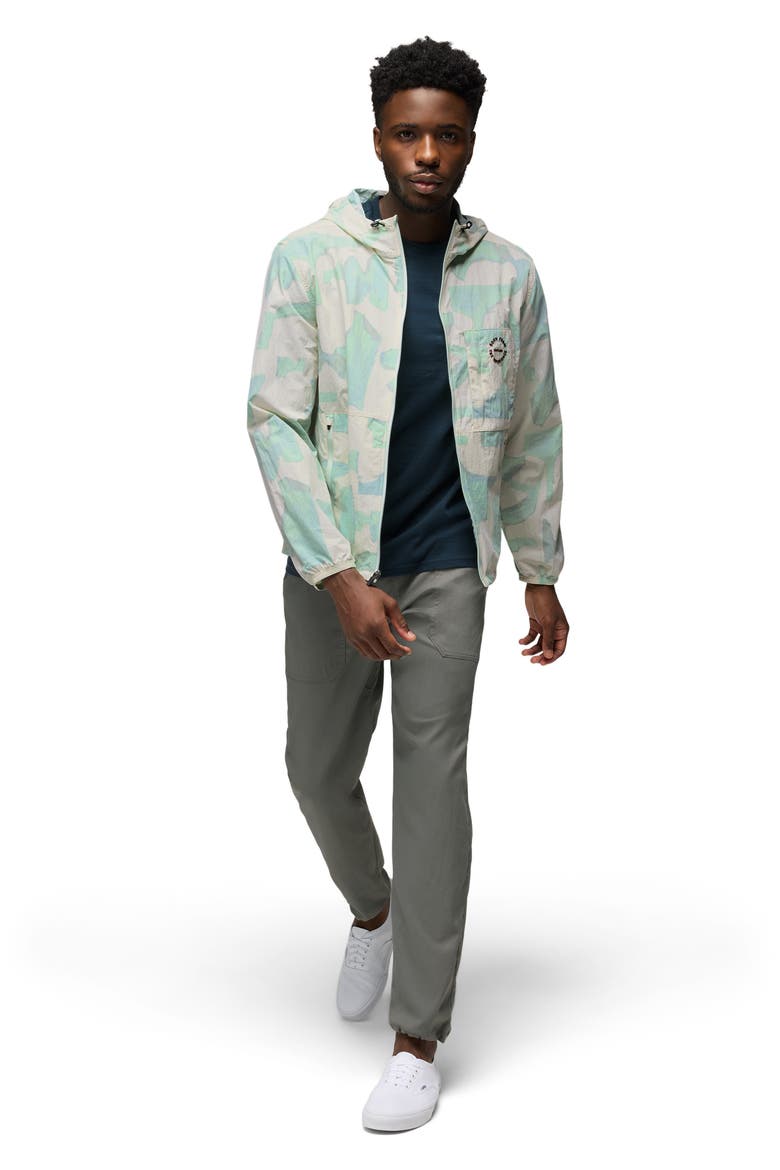 Stretch Zion™ Field Pants, Alternate, color, THYME
