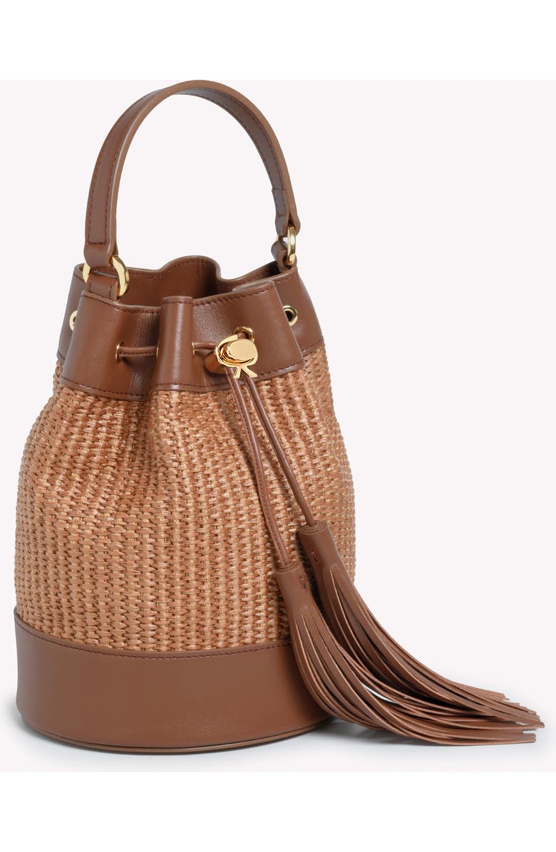 Gianvito Rossi Sienna Bag, Alternate, color, Brown Raffia And Leather