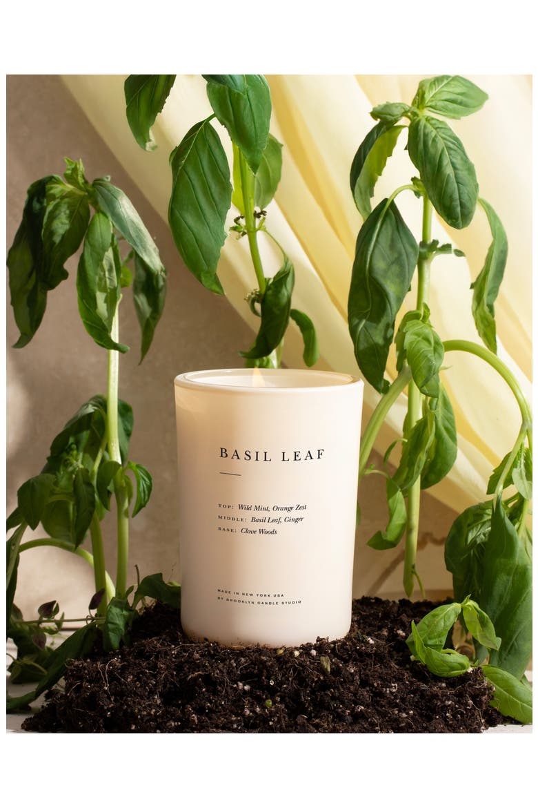 Basil Leaf Candle (Nordstrom Exclusive), Alternate, color, NO COLOR