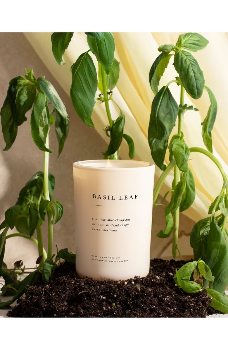 BROOKLYN CANDLE STUDIO Basil Leaf Candle, Alternate, color,
