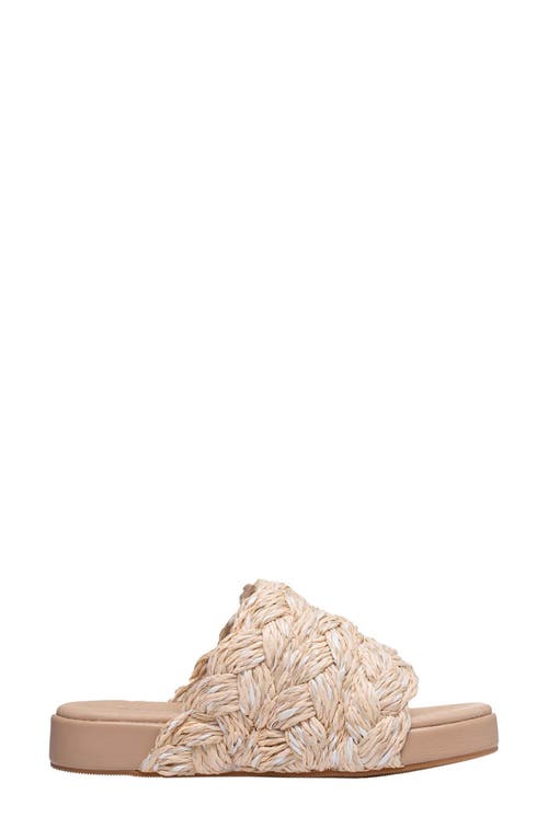Antelope Bray Raffia Slide Sandal In Natural