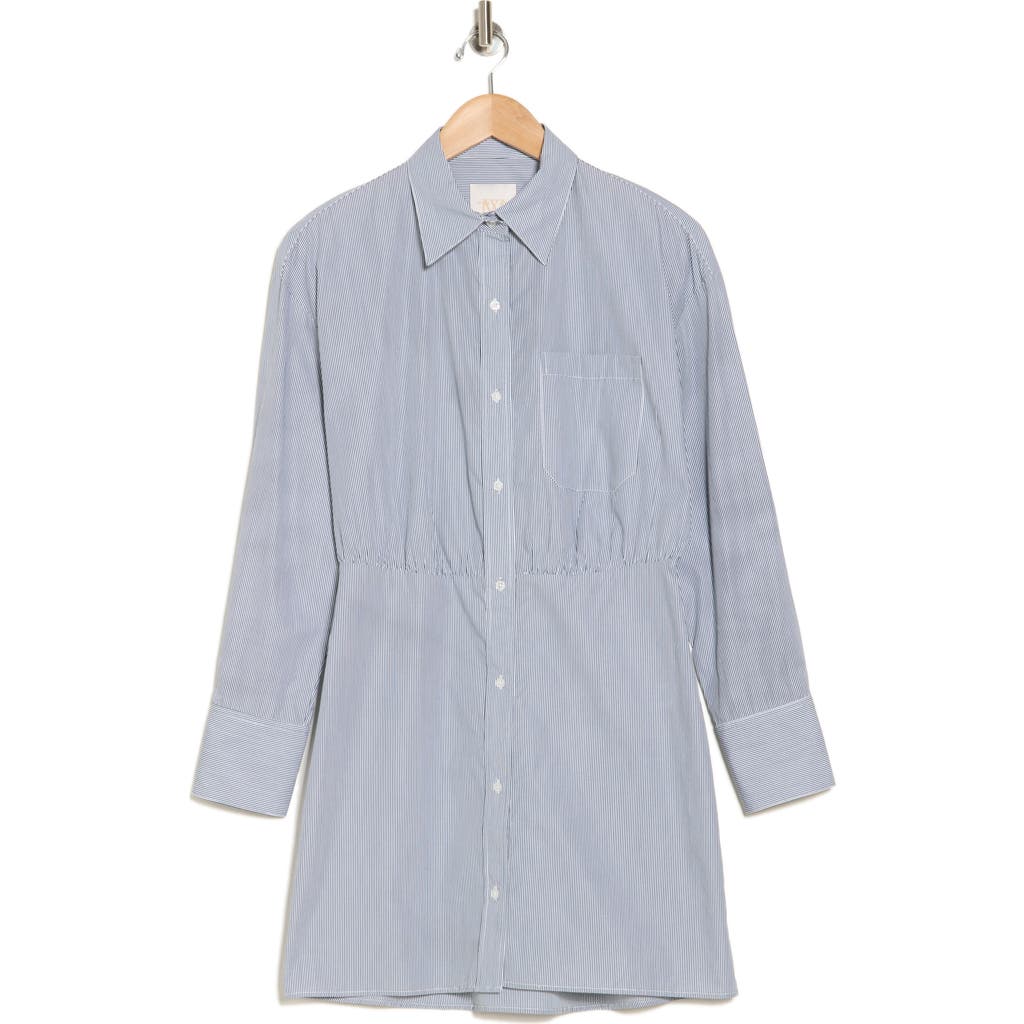 Twp Devon Pinstripe Shirtdress In White/hunter Green