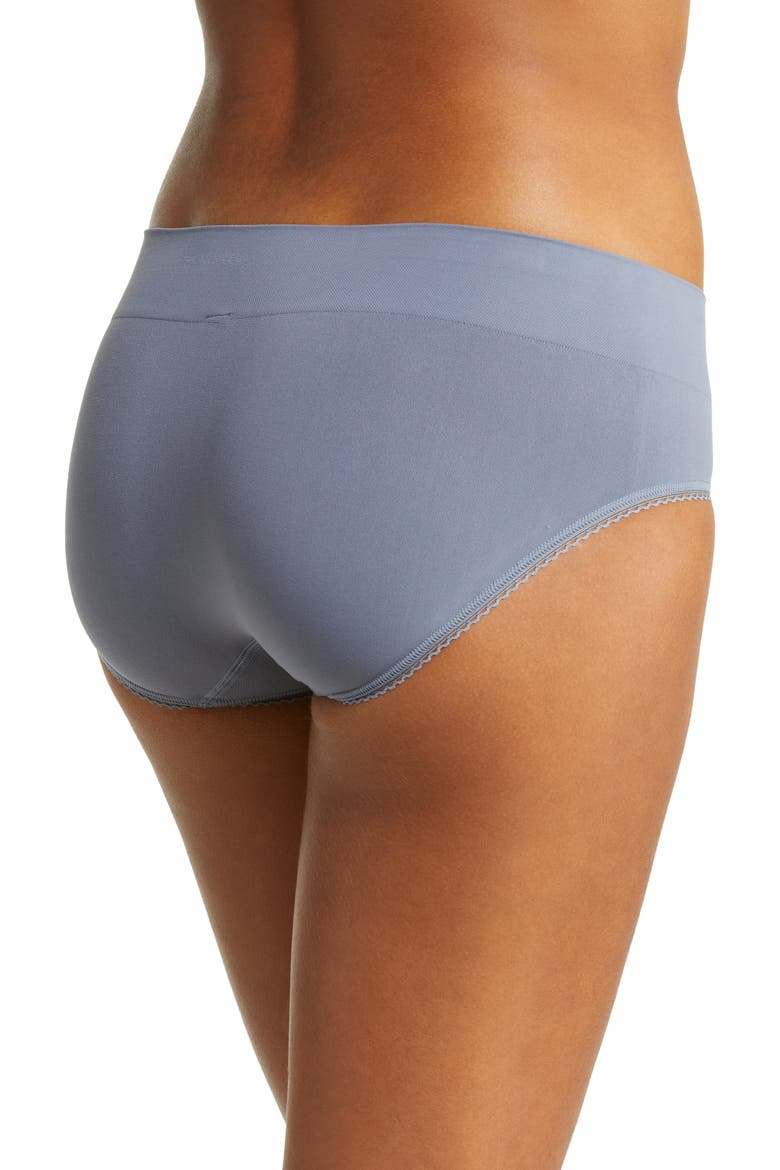 Feeling Flexible Hipster Briefs, Alternate, color, FOLKSTONE GRAY