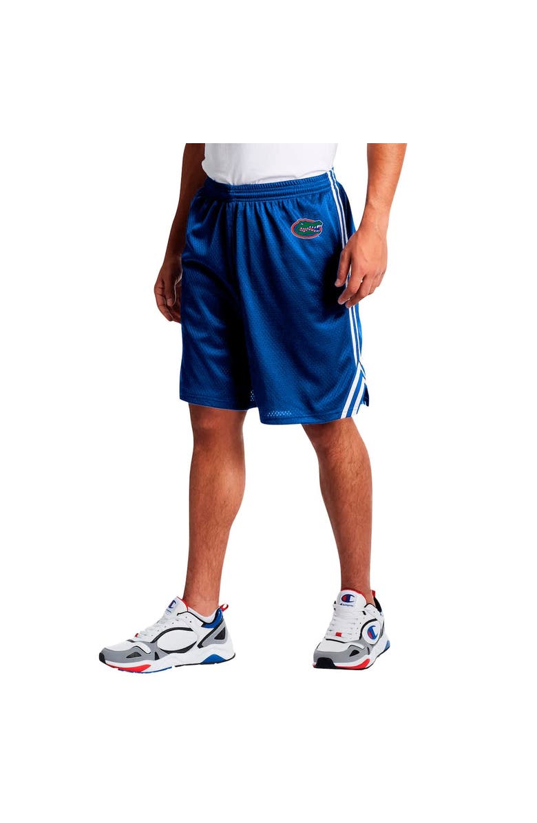 FANATICS Men's Fanatics Royal Florida Gators Big & Tall Dual Stripe Mesh Short, Main, color, Royal