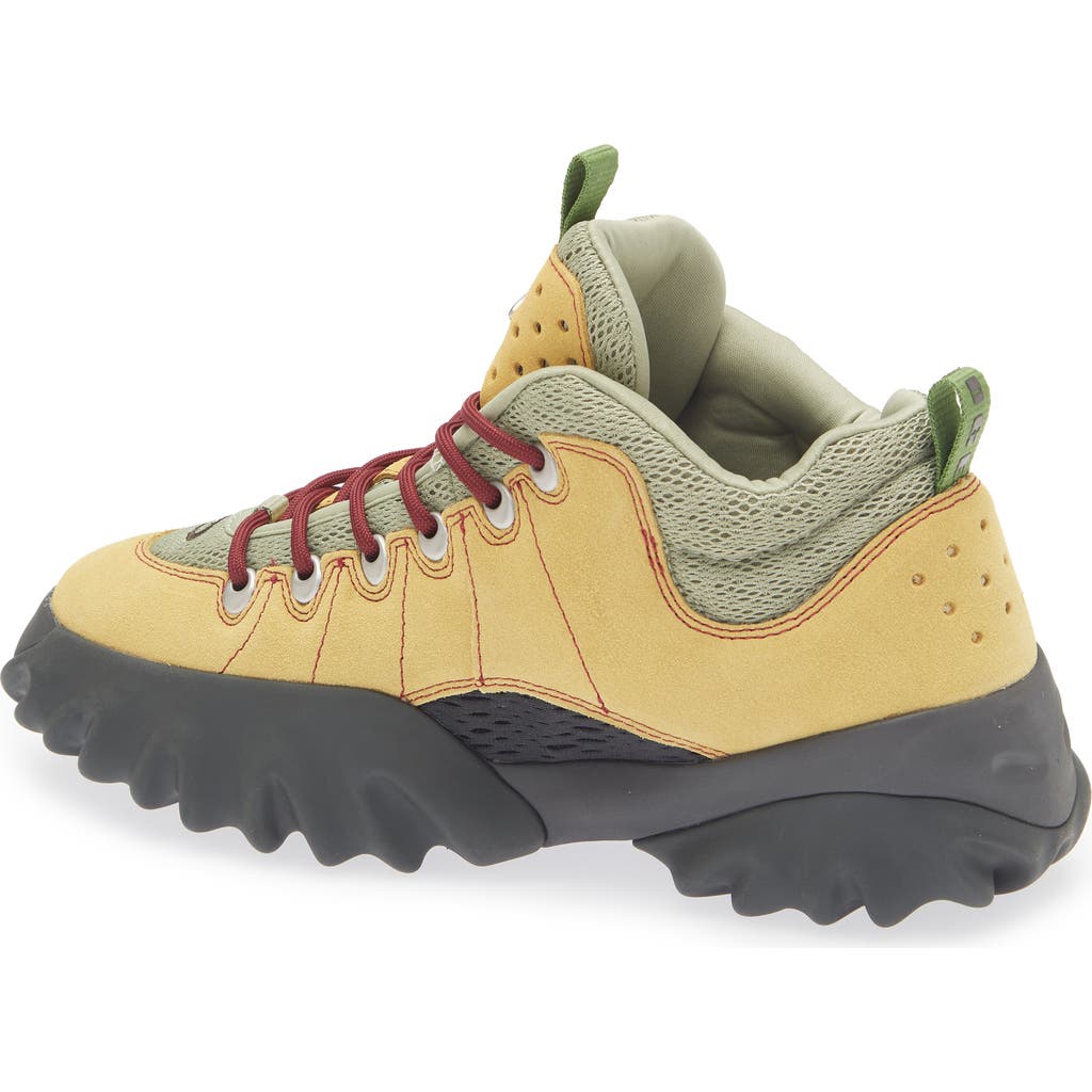 Oakley Factory Team Edge Boot In Parsnip/tea