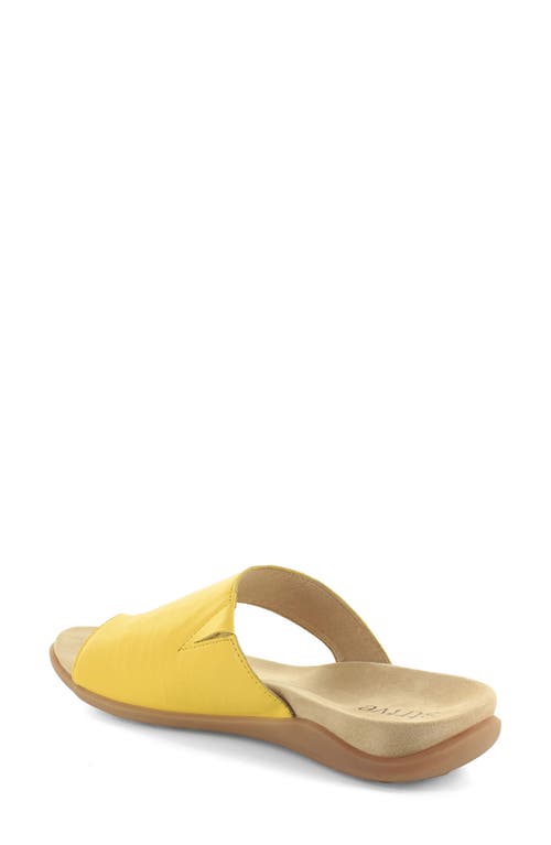 Strive Capri Iii Toe Loop Sandal In Multi