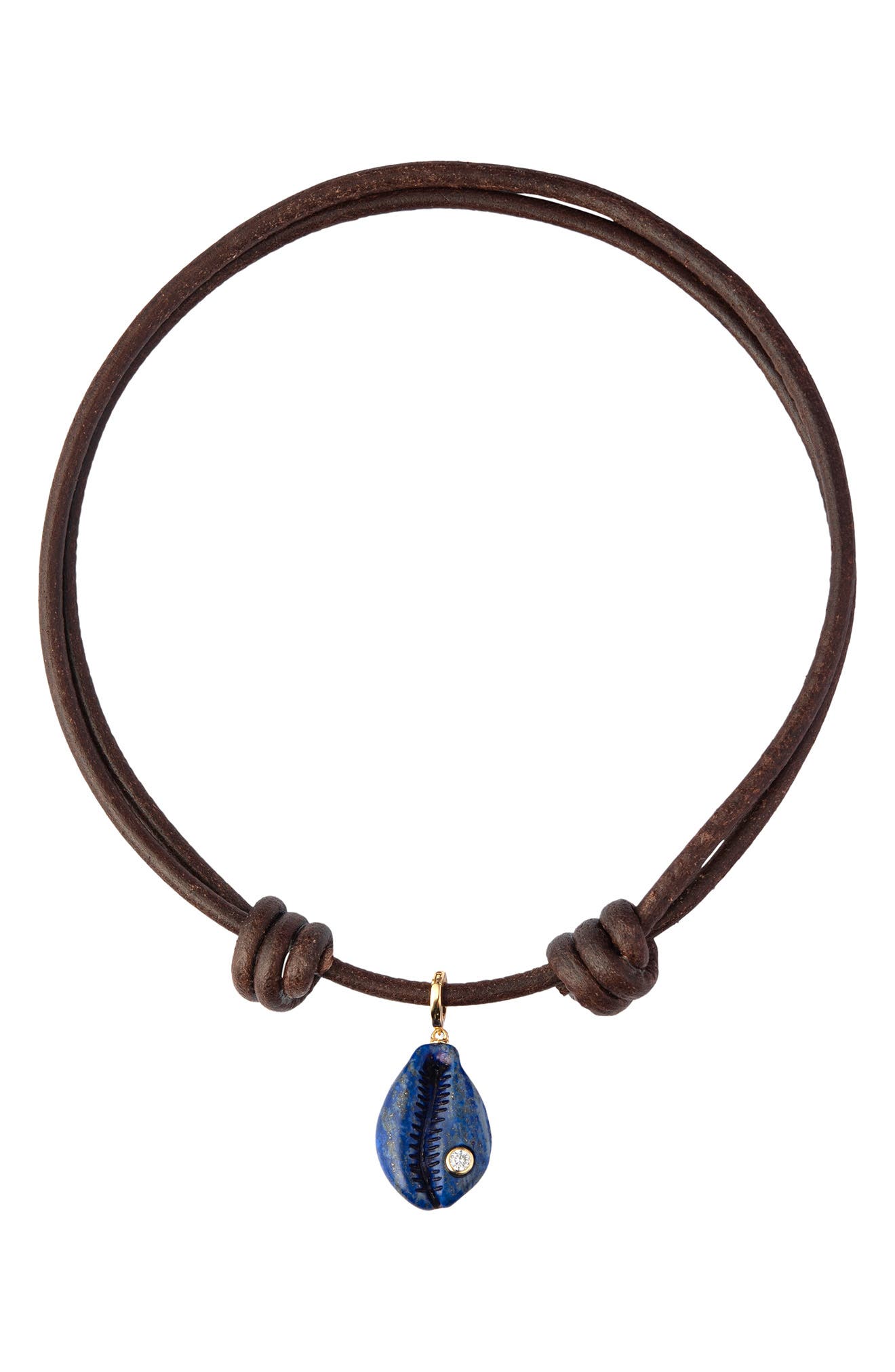selected LAPIS
