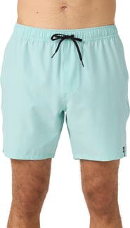 O'Neill Lennox Hermosa Swim Trunks