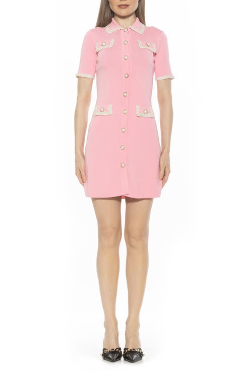 Odette Short Sleeve Knit Shirtdress