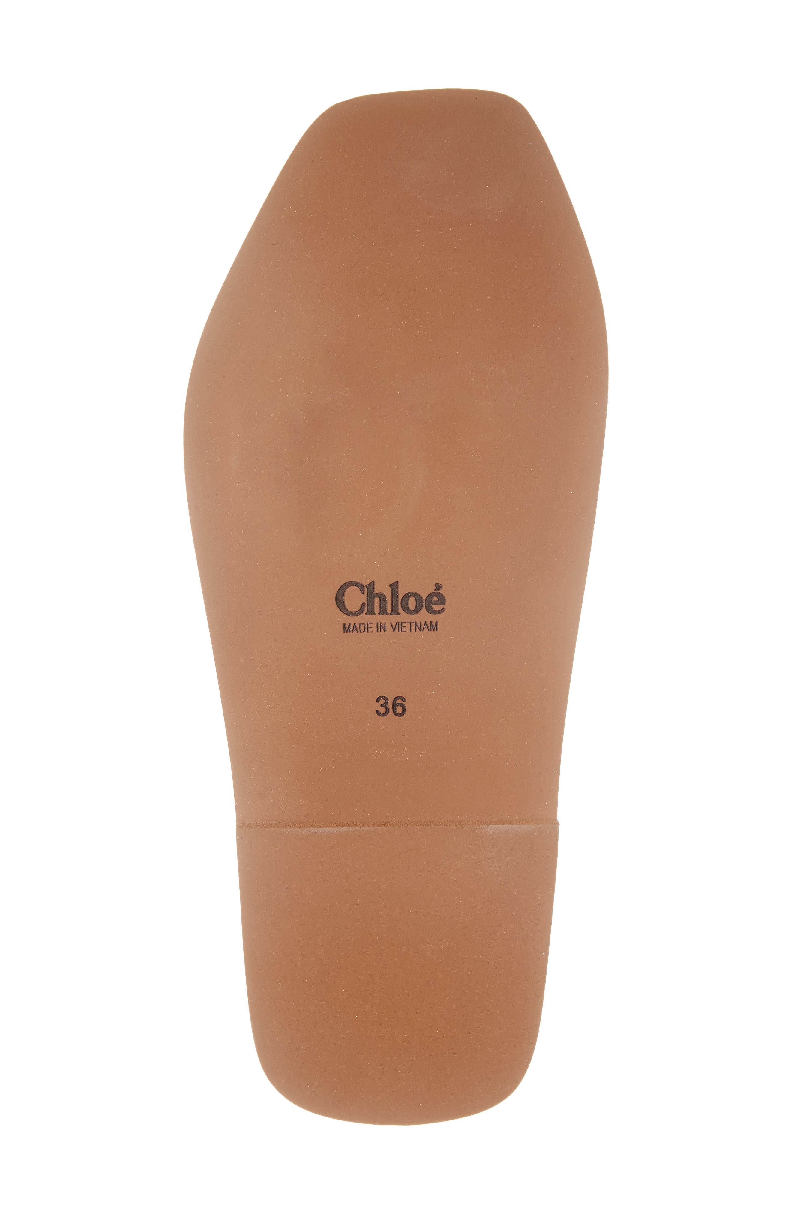 Chloé Woody Slide Sandal, Alternate, color, Blushy Beige