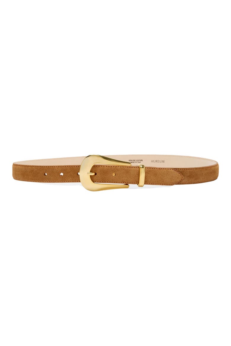 No. 17 Suede Belt, Main, color, HONEYCOMB SUEDE/ GOLD