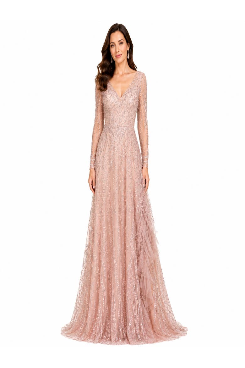 Long Sleeve V-Neck Lace Gown with Feathers, Main, color, Blush