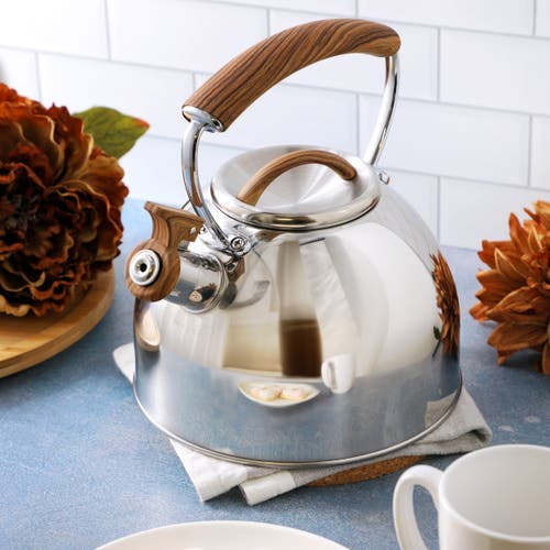 Mr Coffee Mr. Coffee Fremont 2 Quart Mirror Polish Stainless Steel Whistling Tea Kettle In Silver