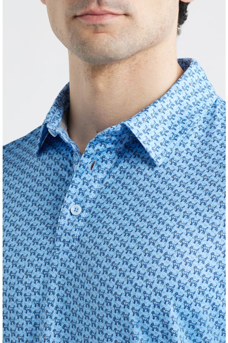 XC® Apex Performance Polo, Alternate, color, BLUE RETRIEVER