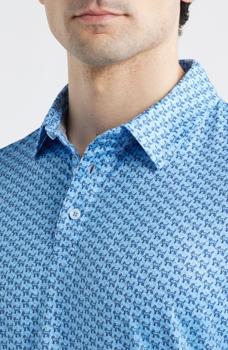 Johnston & Murphy XC<sup>®</sup> Apex Performance Polo, Alternate, color, Blue Retriever