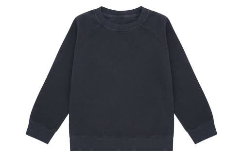 Vild House Of Little Organic Cotton Pullover In Stone Blue-palmetto Plant Dye