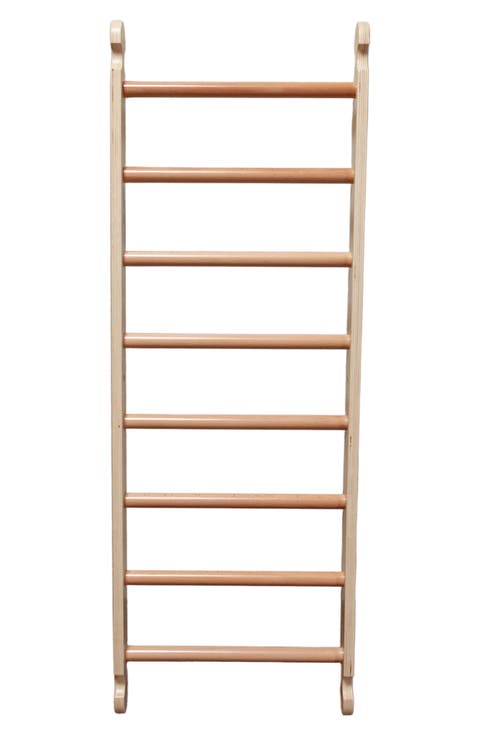 Climbing Ladder