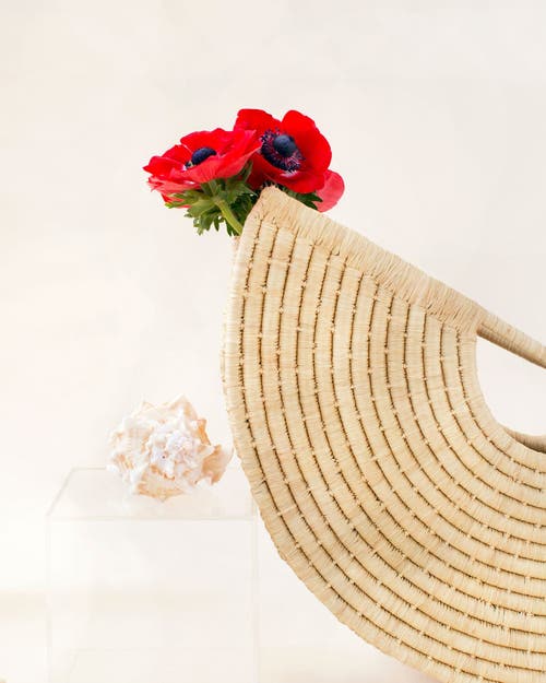 Indego Africa Half Shell Tote In Natural