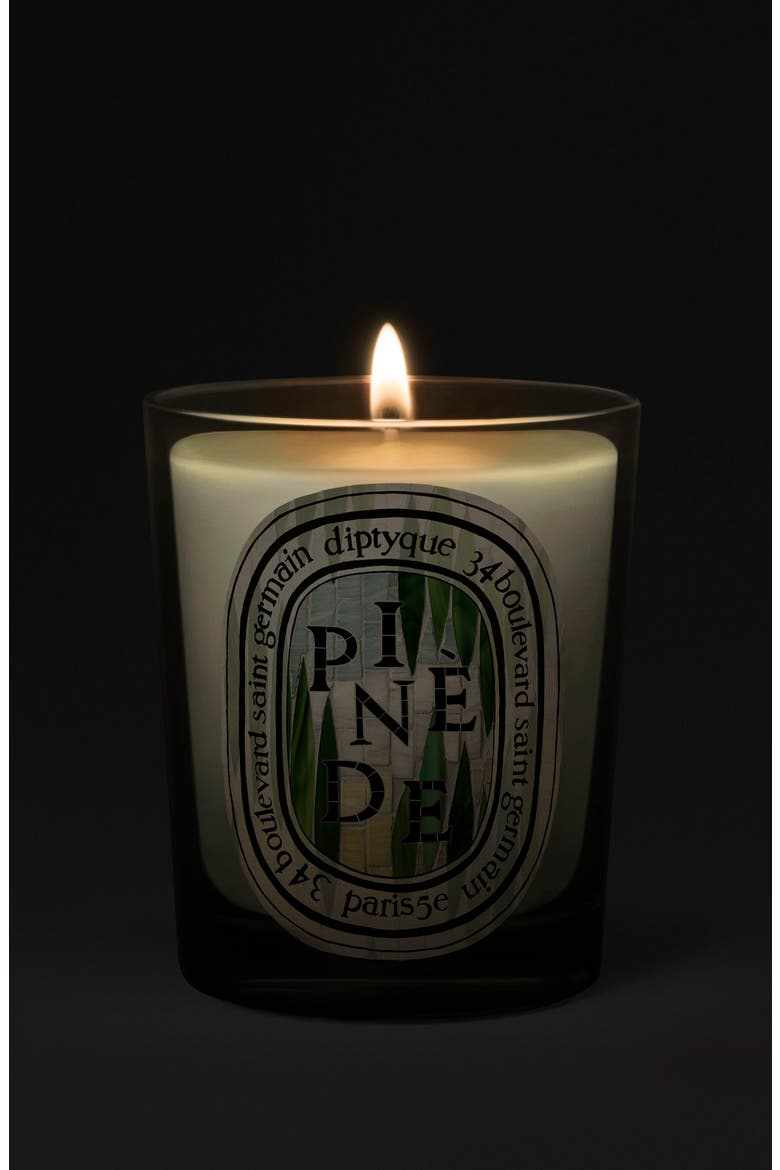 Pinède (Pine Grove) Classic Candle, Alternate, color, NO COLOR