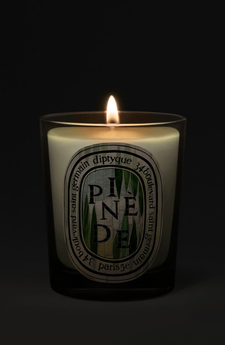 Diptyque Pinède (Pine Grove) Classic Candle, Alternate, color, 