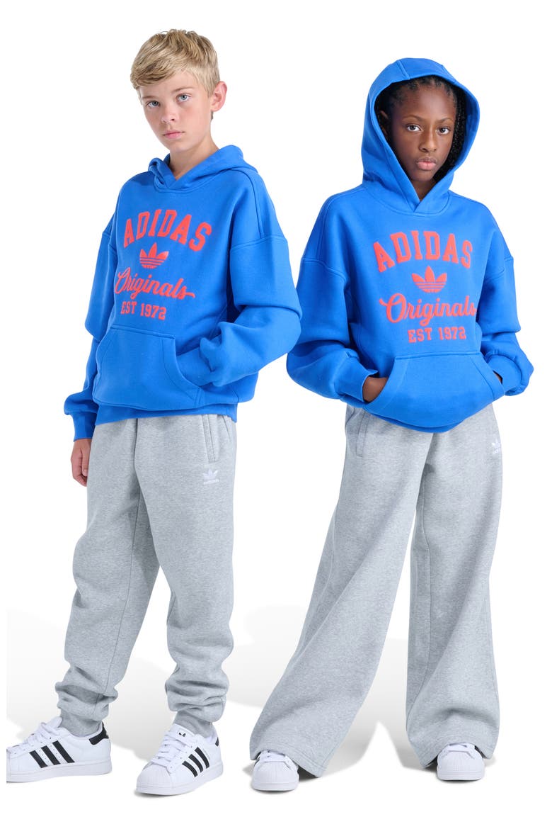 Kids' Varsity Cotton Blend Fleece Hoodie, Alternate, color, BRIGHT BLUE