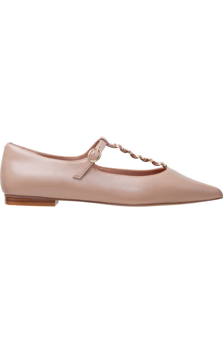 Linea Paolo Corinne Pointed Toe T-Strap Flat, Alternate, color, Blush