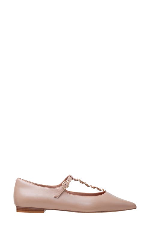 Linea Paolo Corinne Pointed Toe T-strap Flat In Pink