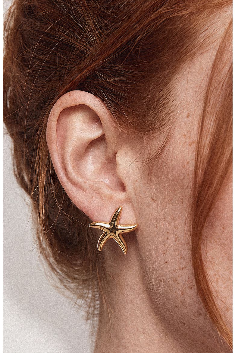 Set of 2 Conch Shell & Starfish Stud Earrings, Alternate, color, GOLD
