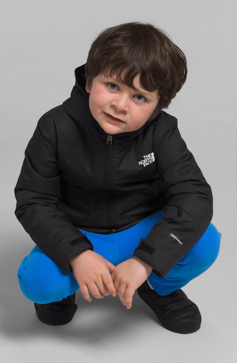 The North Face Kids' Freedom Insulated Waterproof Hooded Jacket, Alternate, color, 