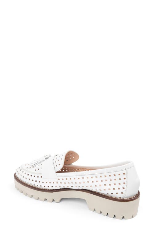 Shop Patricia Green Beckham Tassel Lug Loafer In White Perforated