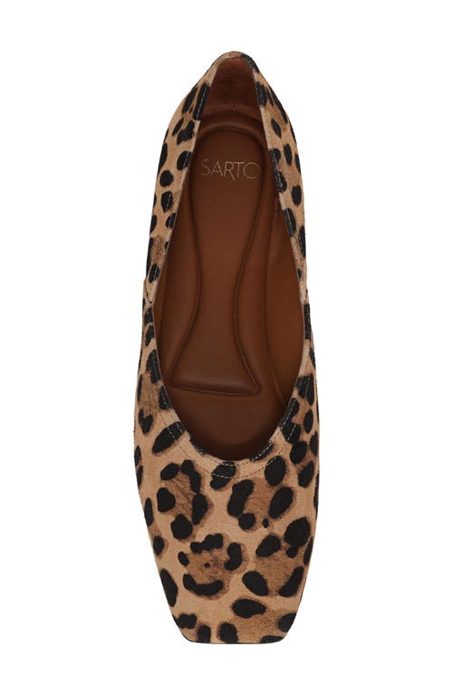 Sarto By Franco Sarto Adalina Ballet Flat In Brown