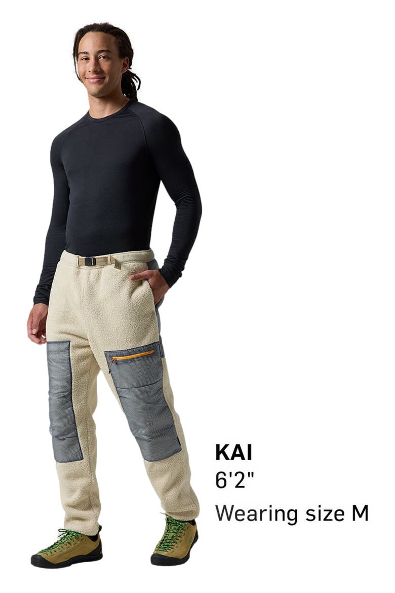 Wander Pile-Fleece Pant - Men's, Alternate, color, Fog/Tradewinds
