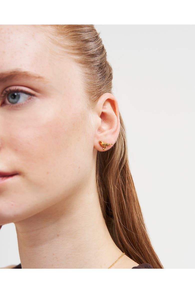 Robin Stud Earrings, Alternate, color, Gold